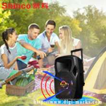 Popular 15 Inches Plastic Portable Speaker with Battery